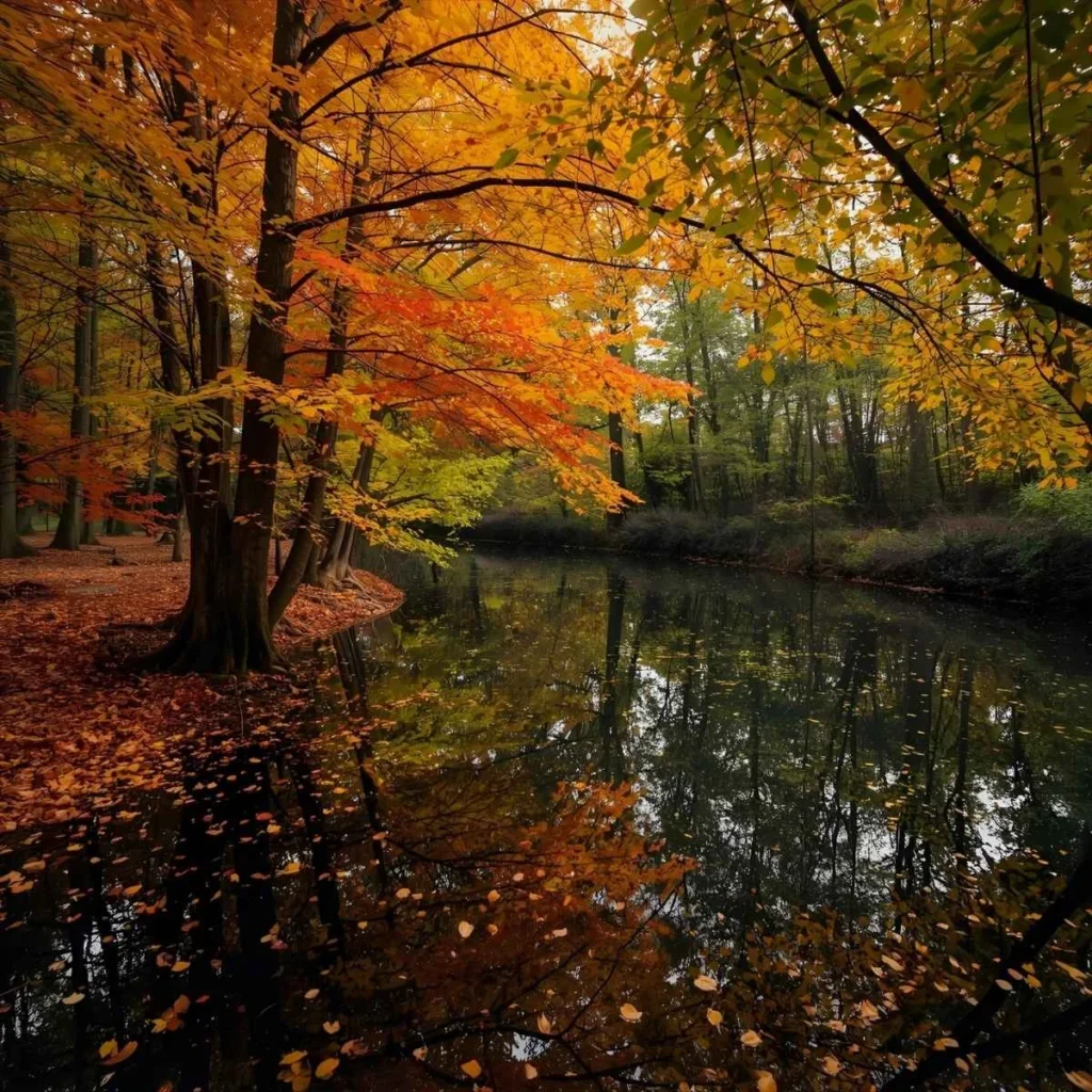 Fall Quotes 