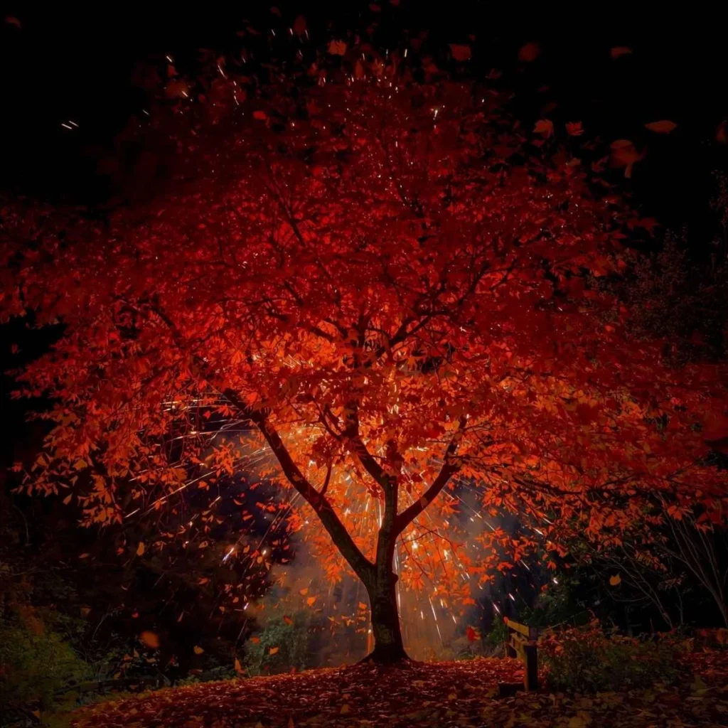 Fall Quotes 