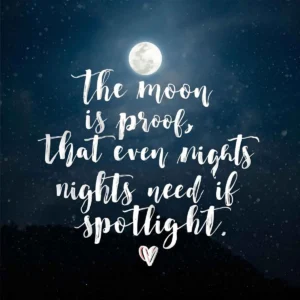 Read more about the article 110+Quotes About the Moon 2025