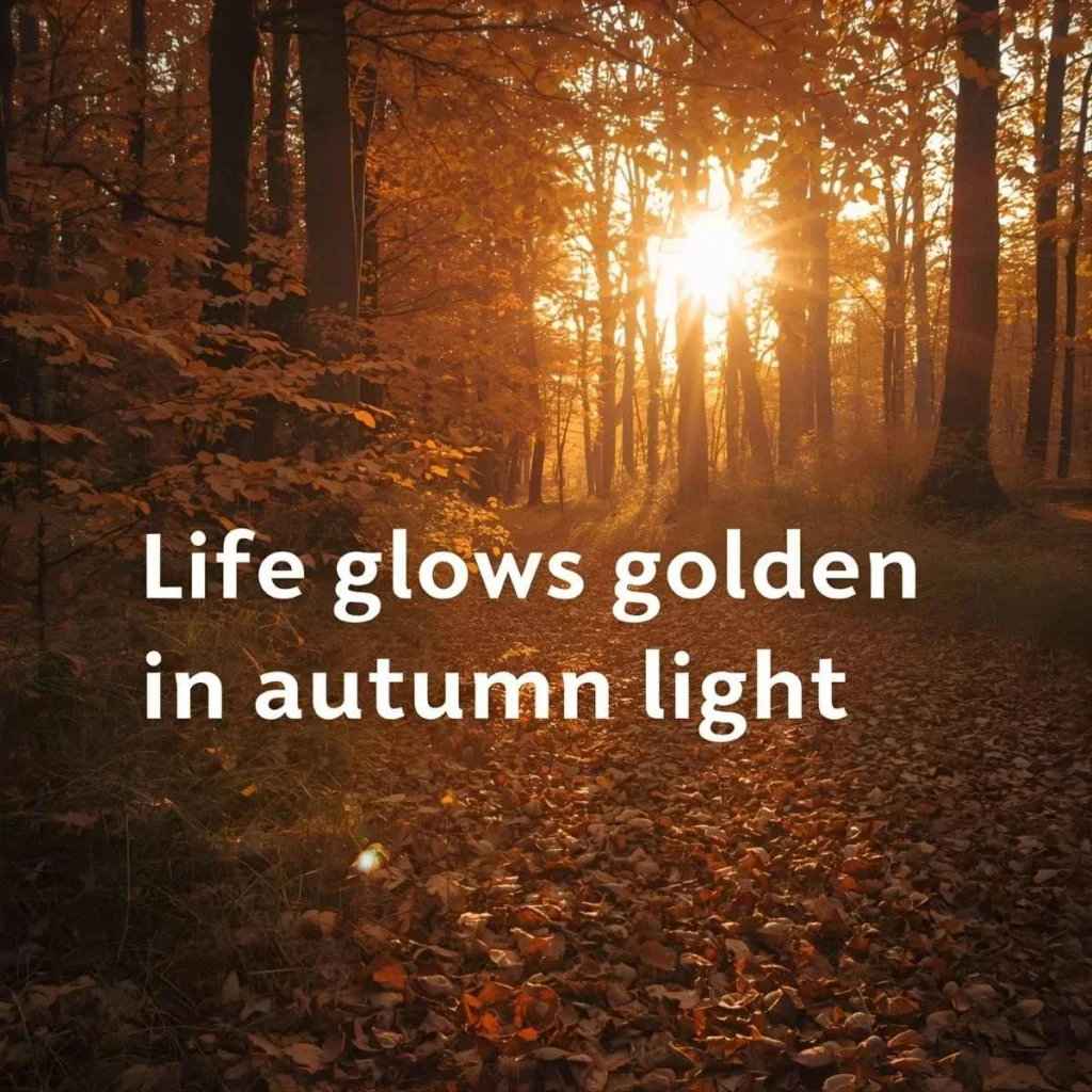 Autumn Quotes